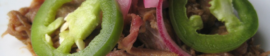 asian pulled pork