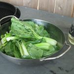 grilledbokchoi