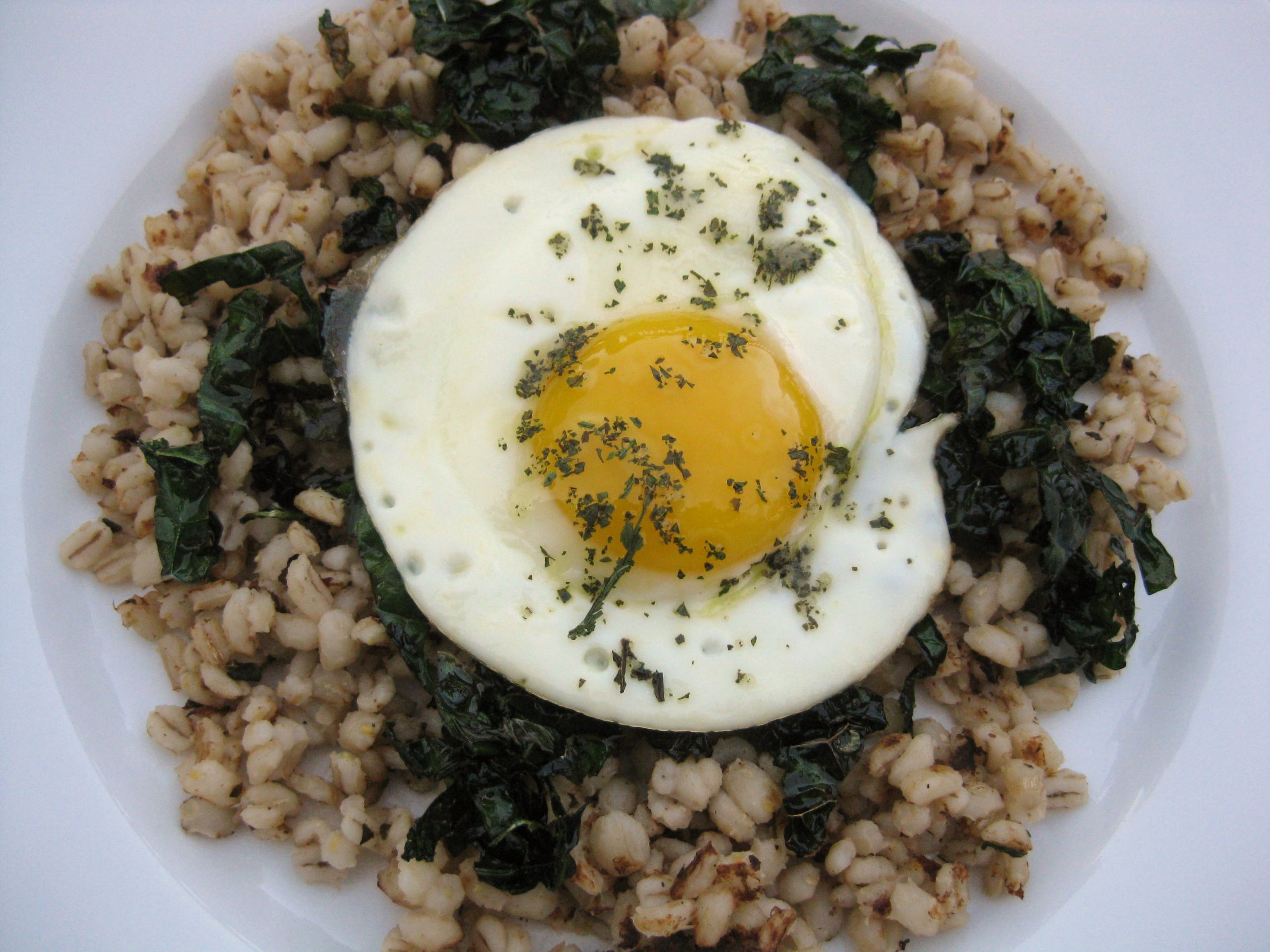 Egg, Barley, Kale Jax House