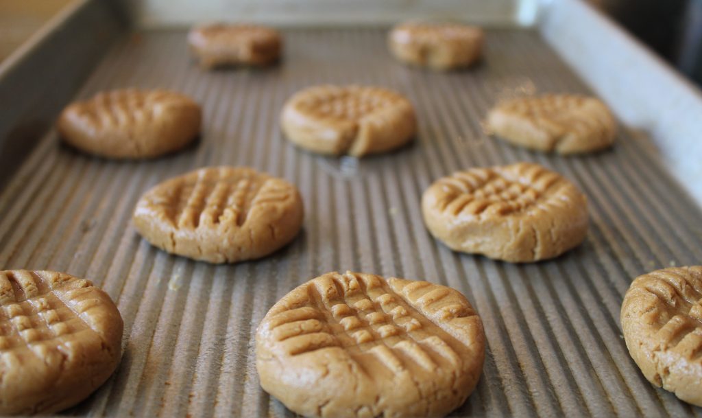 low carb peanut butter cookies