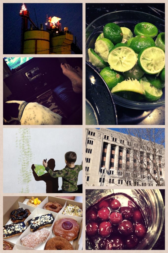 pictures of the week