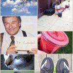 pictures of the week