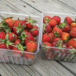 In The Box – CSA Week 9 {Strawberry Cheesecake in a Jar}