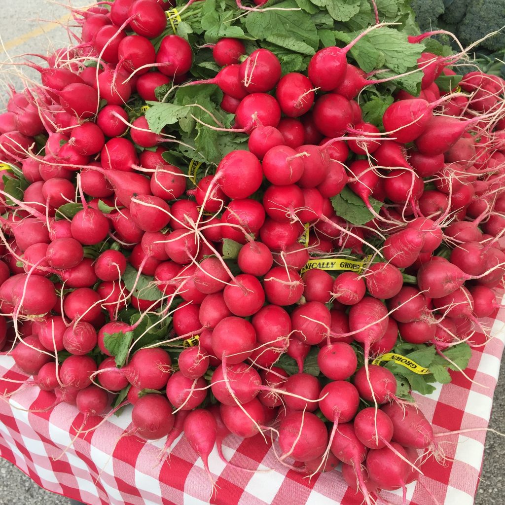 radishes