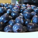 Blueberries and More Blueberries