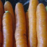 In The Box — CSA Week 12 {Carrot “Fettuccine”}