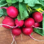 Radish Crostini