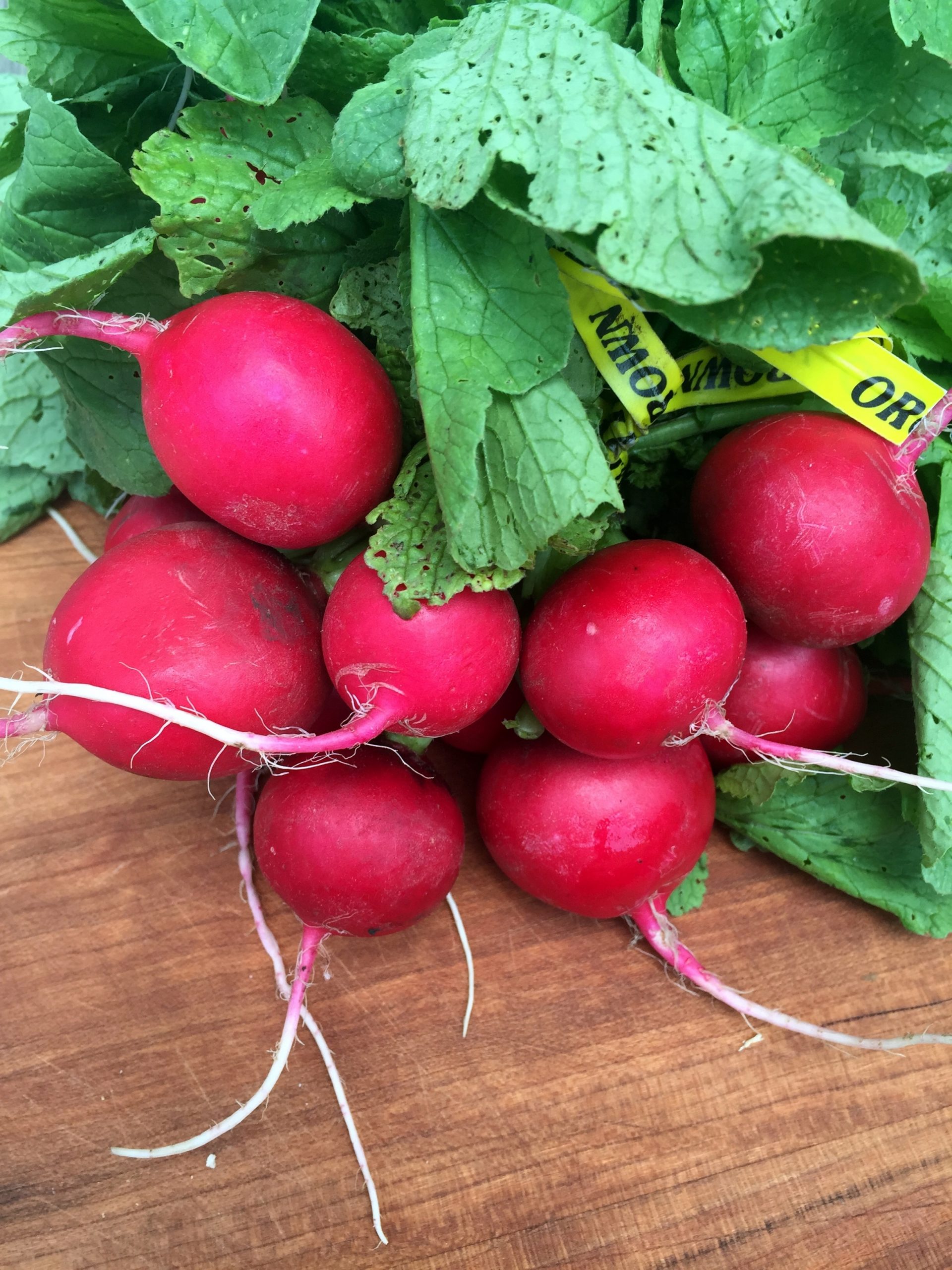 radishes